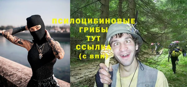 первитин Киреевск