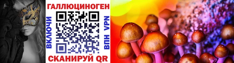 Купить закладки  Унеча  Галлюциногенные грибы MAGIC MUSHROOMS 